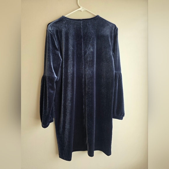Madewell Velvet Ballon-Sleeve Dress - Picture 7 of 11